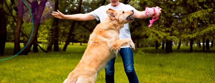 Pessoas que conversam com seus pets são mais inteligentes: veja dados do estudo