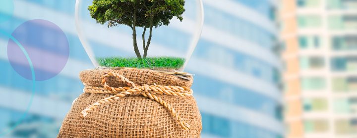 O impacto da economia verde no turismo