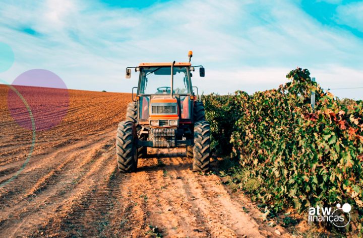 Desenrola Rural: conheça este programa que beneficia agricultores
