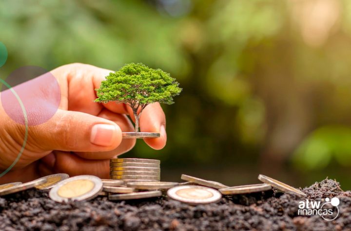 Crédito verde no Brasil: como conseguir financiamento