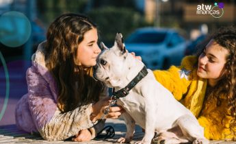 Pets na cidade vacinação, castração gratuita e cuidados no calor