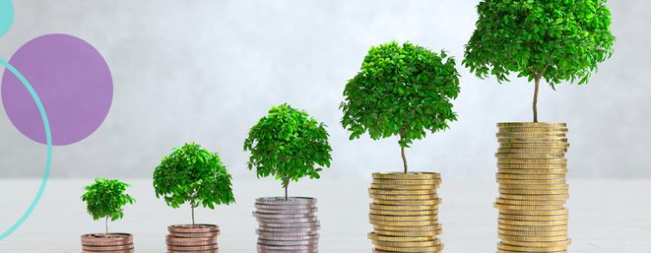 Dividendos no meio do ano: como pensar renda passiva sem fantasia